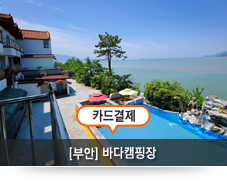 �ٴ�ķ����